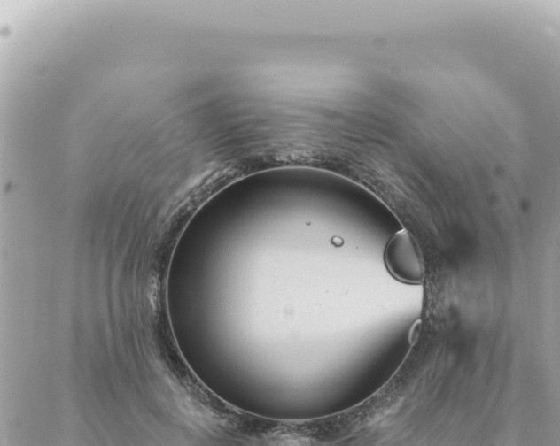 X0000088610648200706011229