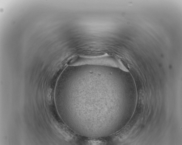 X0000088610650200706011229