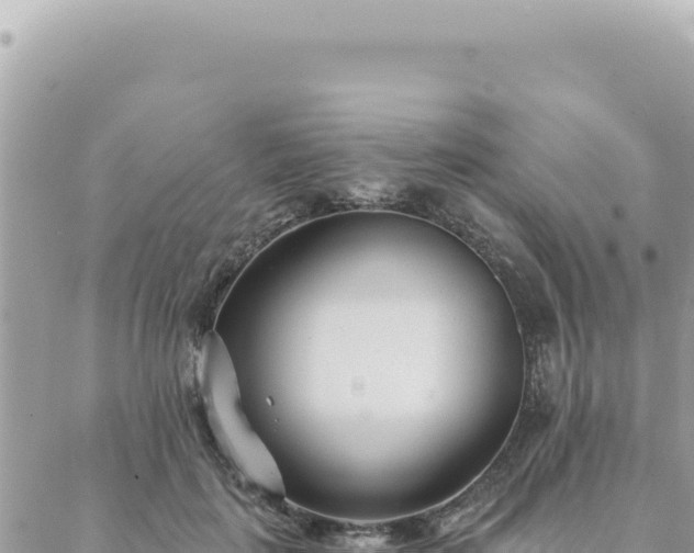 X0000088610651200706011229