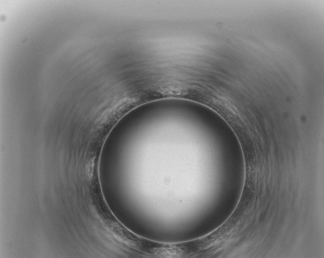 X0000088610652200706011229