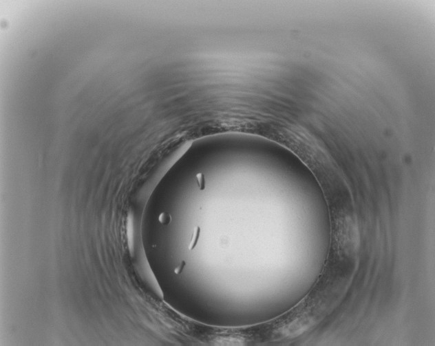 X0000088610653200706011229