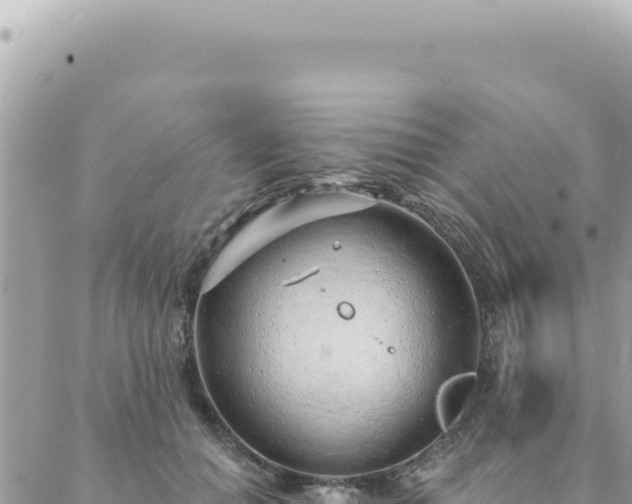 X0000088610654200706011229