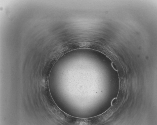 X0000088610655200706011229