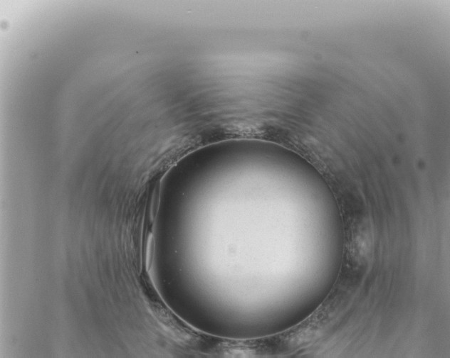 X0000088610658200706011229