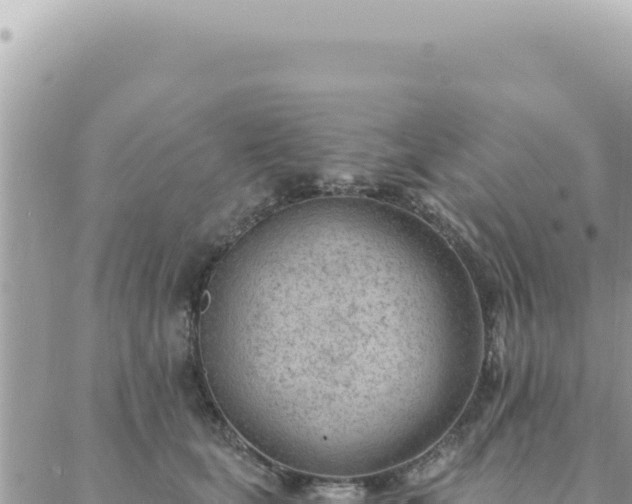 X0000088610659200706011229