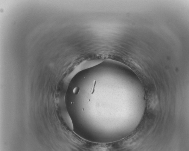 X0000088610661200706011229