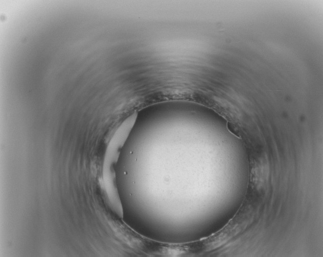 X0000088610662200706011229