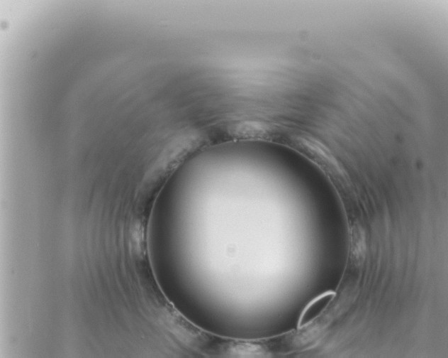 X0000088610669200706011229