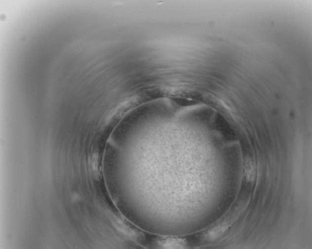 X0000088610670200706011229