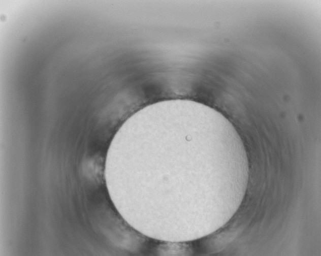 X0000088610672200706011229