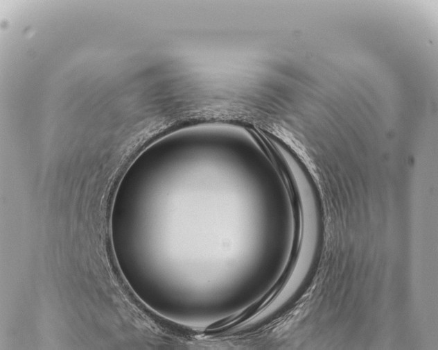 X0000088610673200706011228