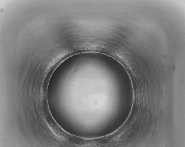 X0000088610674200706011228