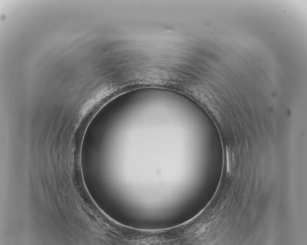 X0000088610675200706011228