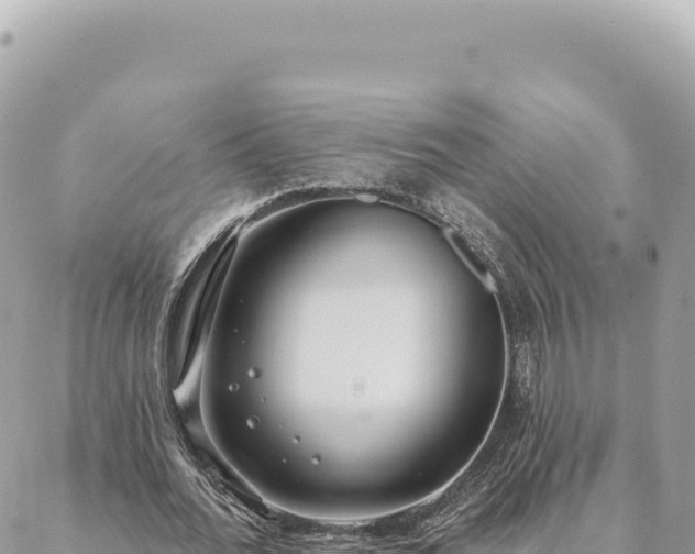 X0000088610676200706011228