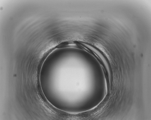 X0000088610677200706011228