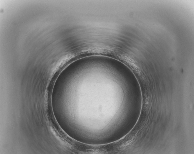 X0000088610678200706011228