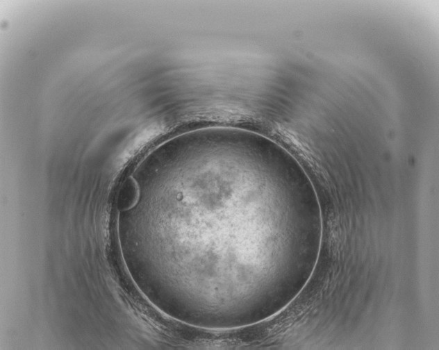 X0000088610679200706011228