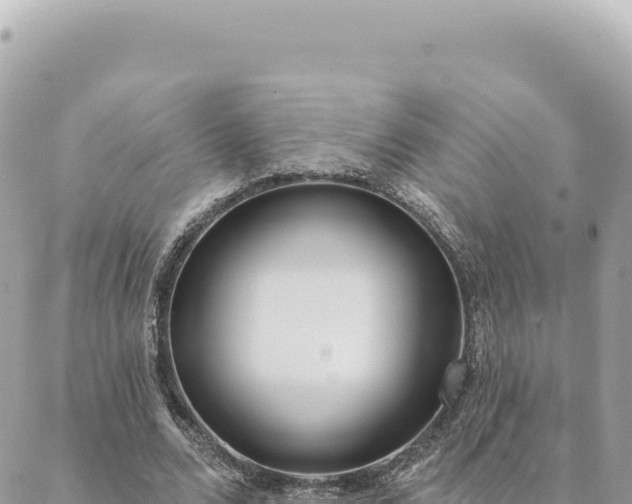 X0000088610680200706011228