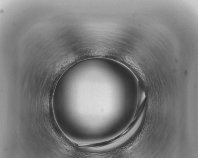 X0000088610681200706011228