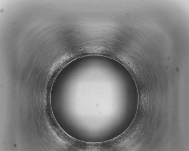 X0000088610682200706011228