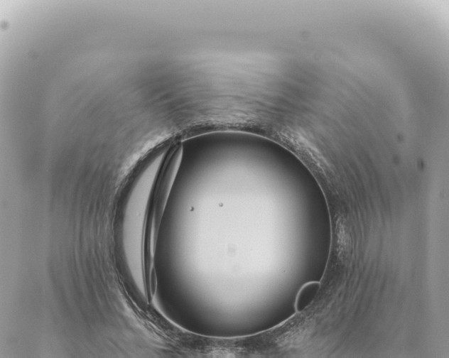 X0000088610684200706011228