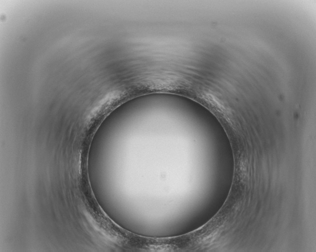 X0000088610686200706011228