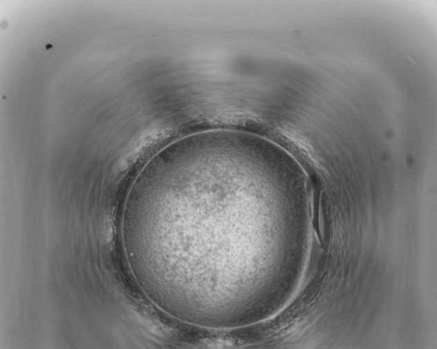 X0000088610687200706011228