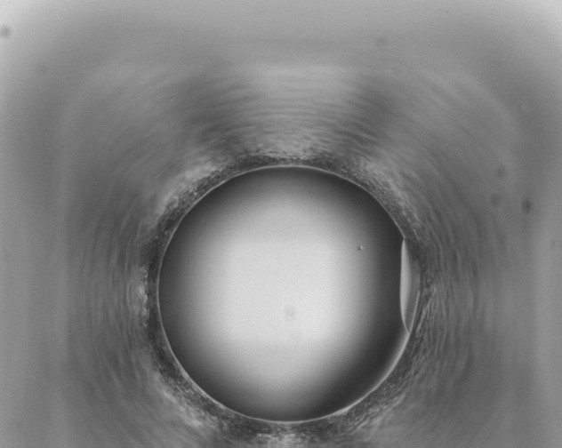 X0000088610688200706011228