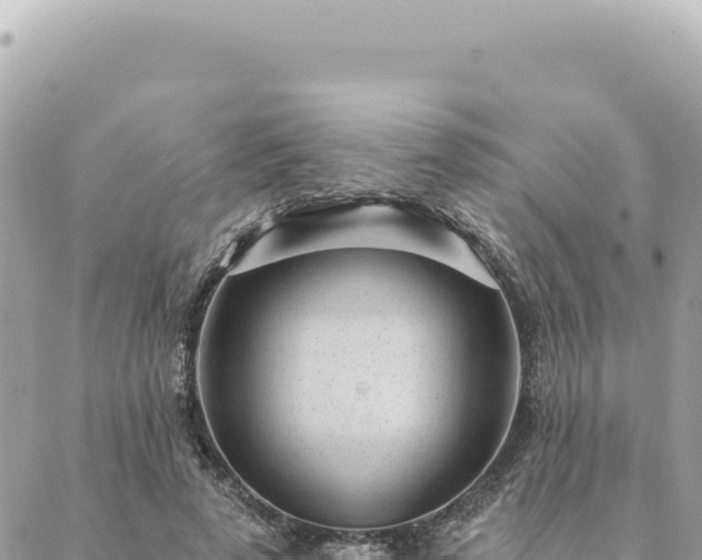 X0000088610689200706011228