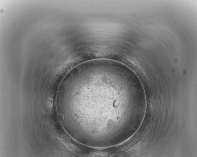 X0000088610691200706011228