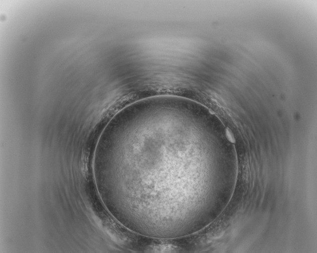 X0000088610695200706011228