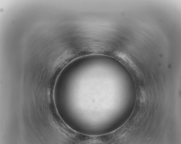 X0000088610696200706011228