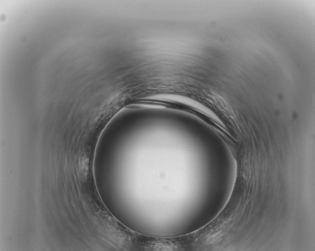 X0000088610697200706011228