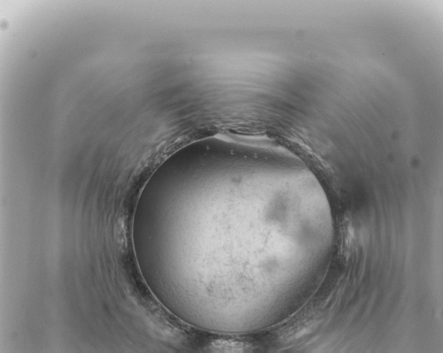 X0000088610699200706011228