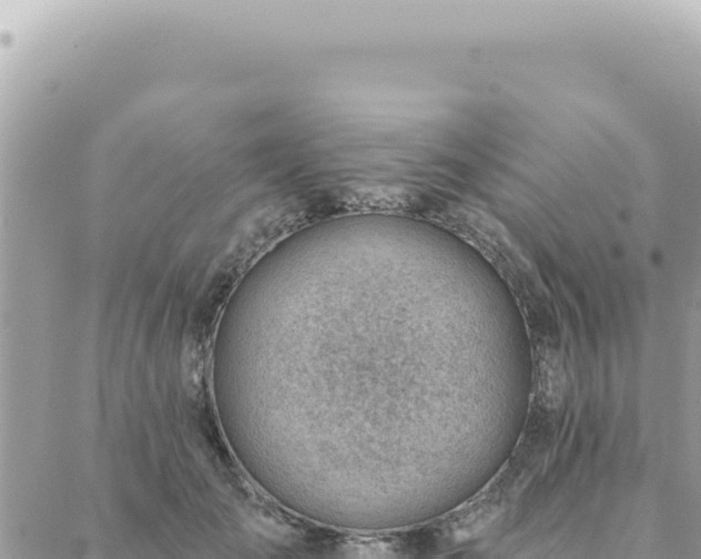 X0000088610701200706011228