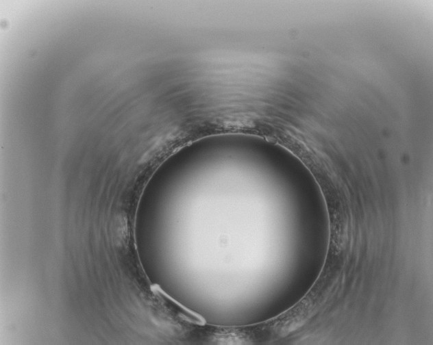 X0000088610704200706011228