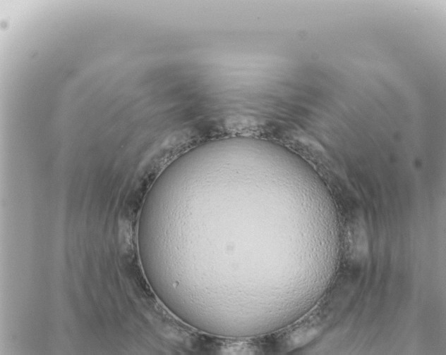 X0000088610705200706011228