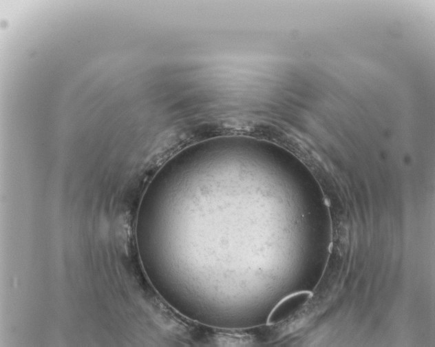 X0000088610707200706011228