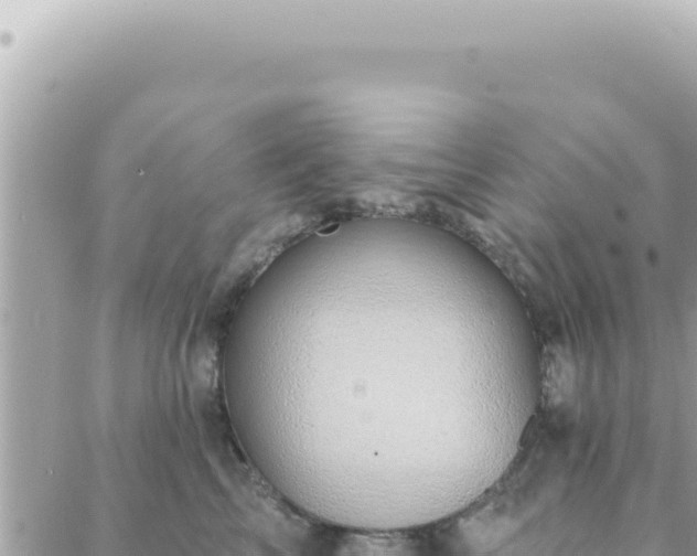 X0000088610713200706011227