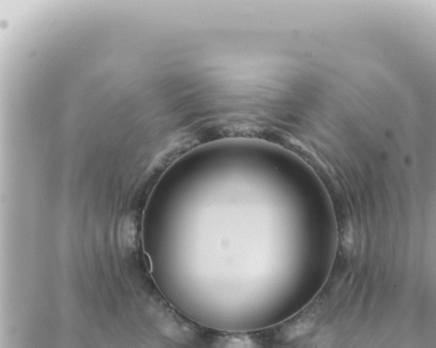 X0000088610715200706011227