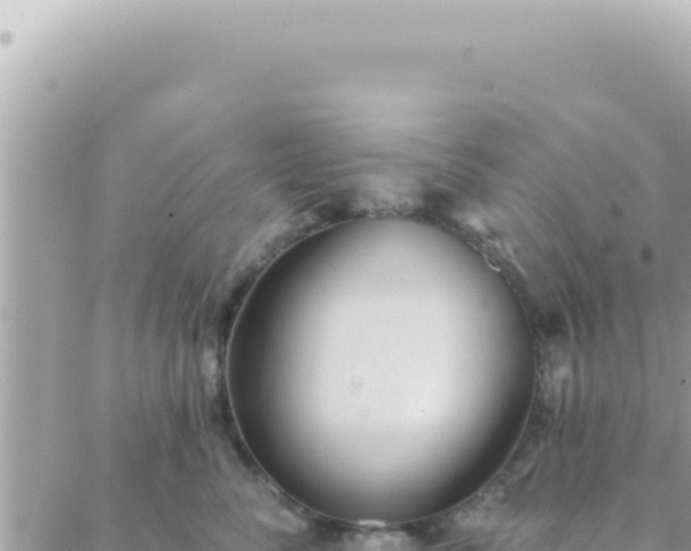 X0000088610716200706011227