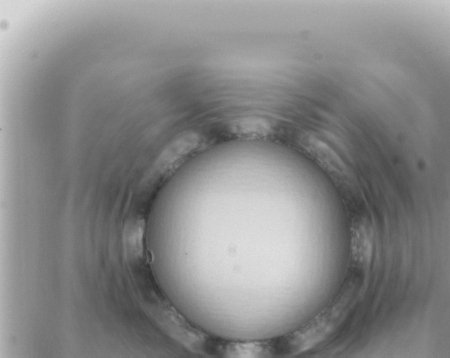 X0000088610717200706011227