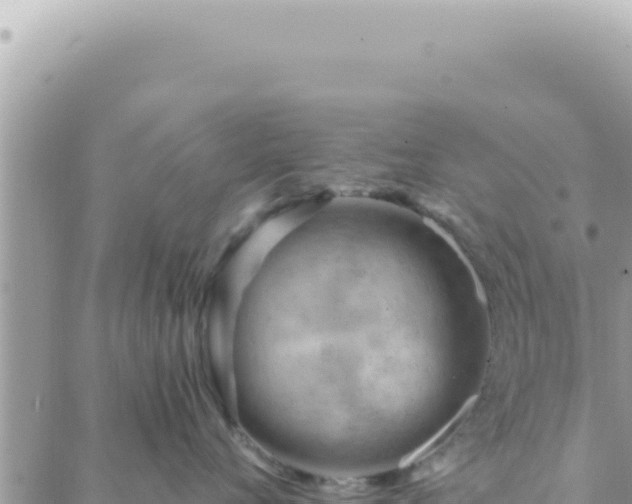 X0000088610720200706011227