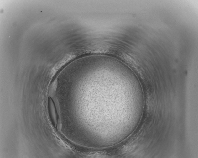 X0000088610721200706011227