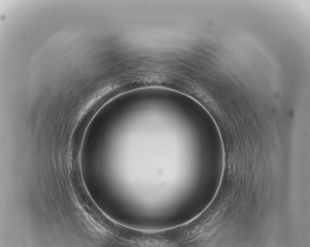 X0000088610722200706011227