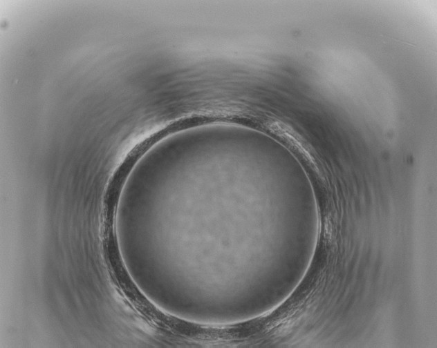 X0000088610724200706011227