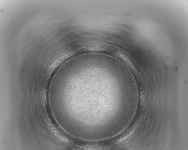 X0000088610725200706011227