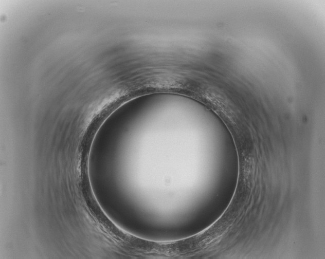 X0000088610727200706011227