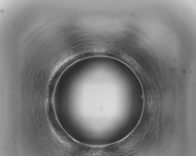 X0000088610728200706011227