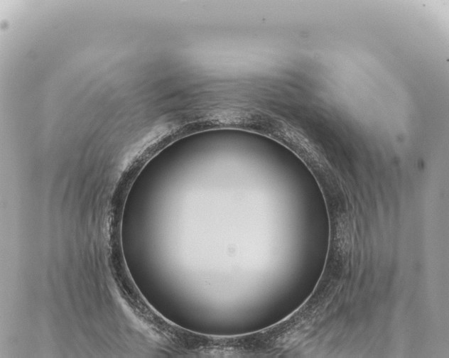 X0000088610730200706011227